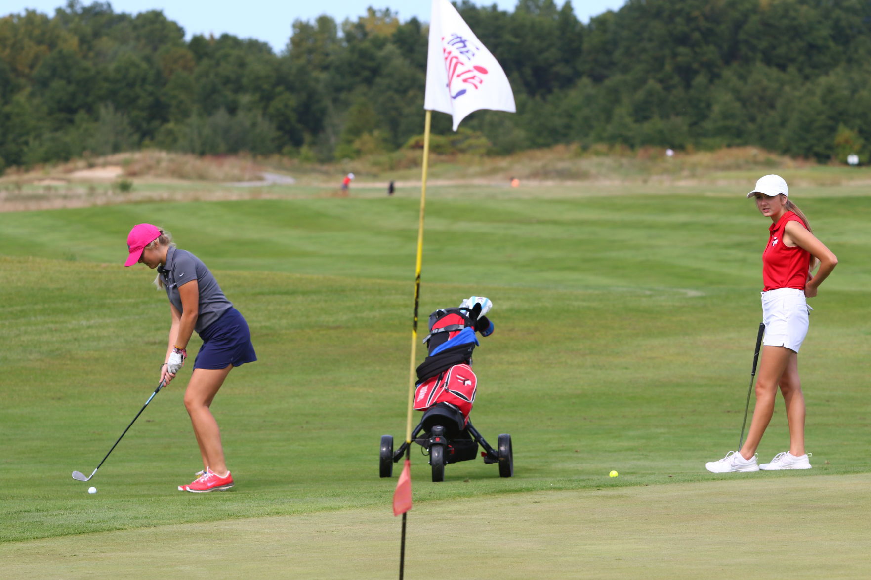 Gallery: Girls Golf Duneland Athletic Conference Tournament